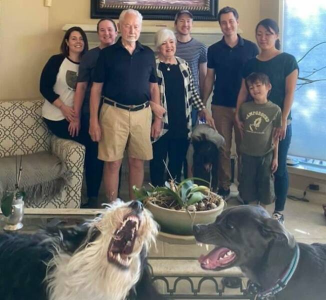 Pets Who Photobombed Their Way to Stardom Pets Who Photobombed Their Way to Stardom