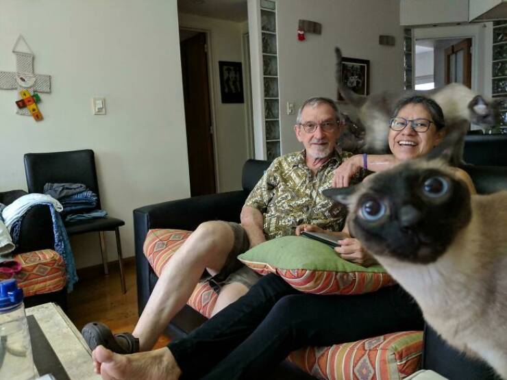 Pets Who Photobombed Their Way to Stardom