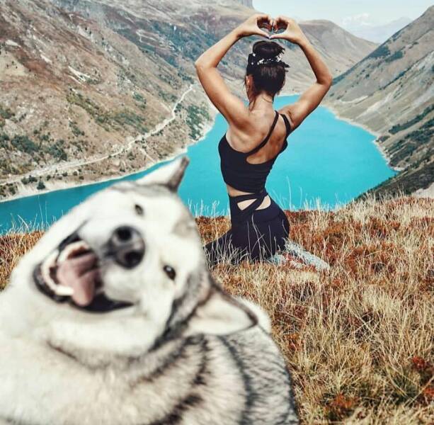 Pets Who Photobombed Their Way to Stardom