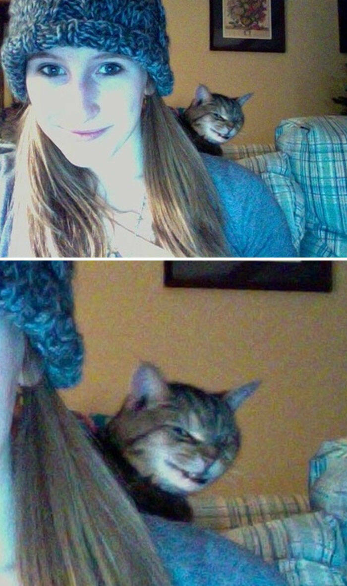 Pets Who Photobombed Their Way to Stardom Pets Who Photobombed Their Way to Stardom