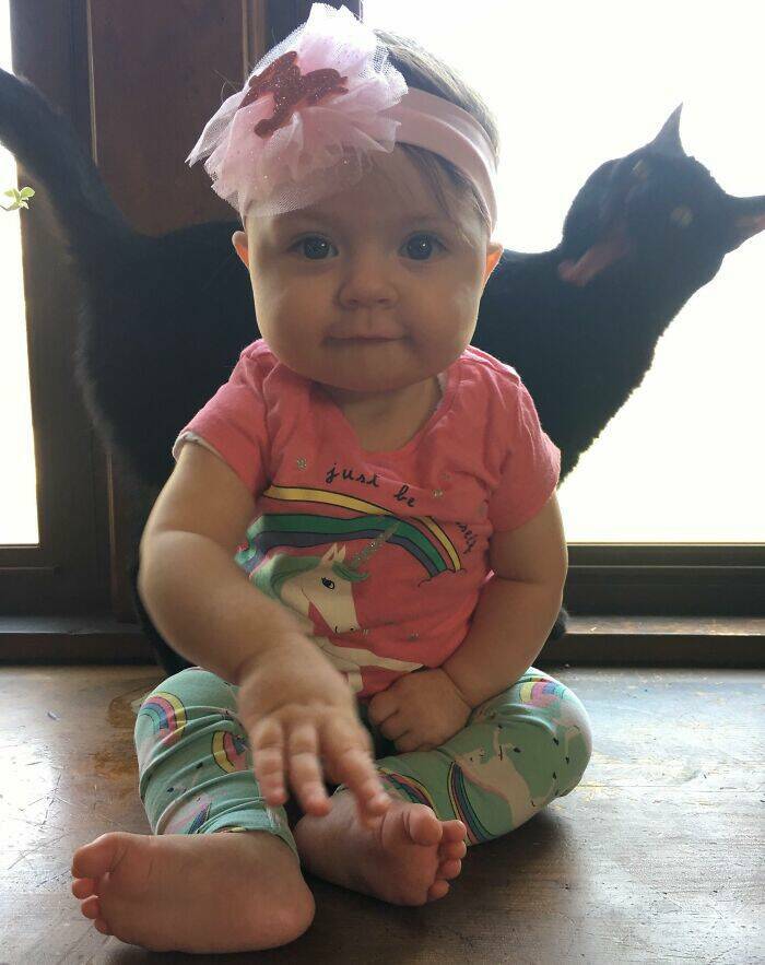 Pets Who Photobombed Their Way to Stardom Pets Who Photobombed Their Way to Stardom