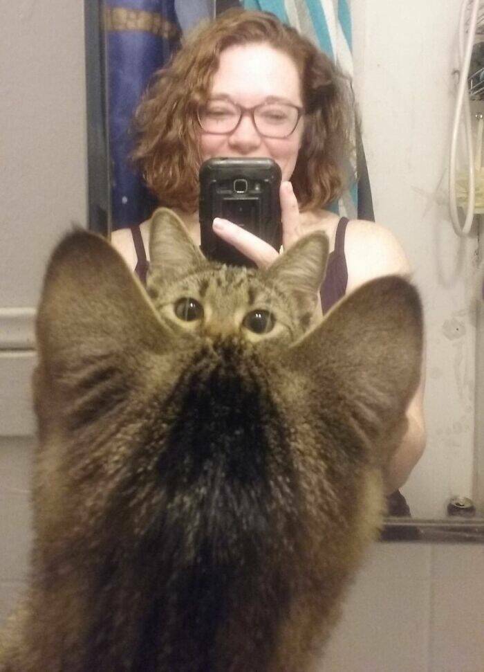 Pets Who Photobombed Their Way to Stardom