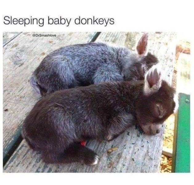 Wholesome Happiness? Yes Please!