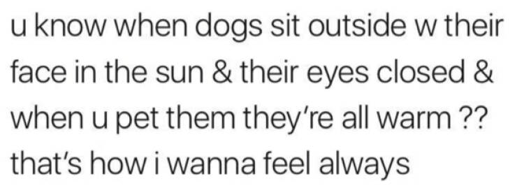 Wholesome Happiness? Yes Please!