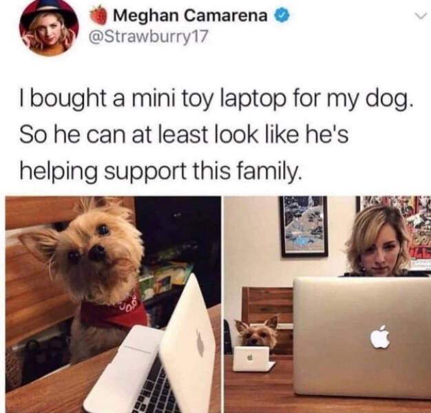 Wholesome Happiness? Yes Please!