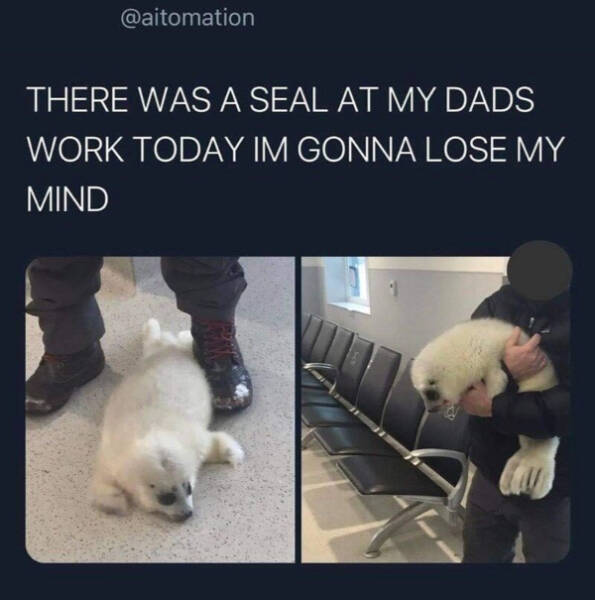 Wholesome Happiness? Yes Please!