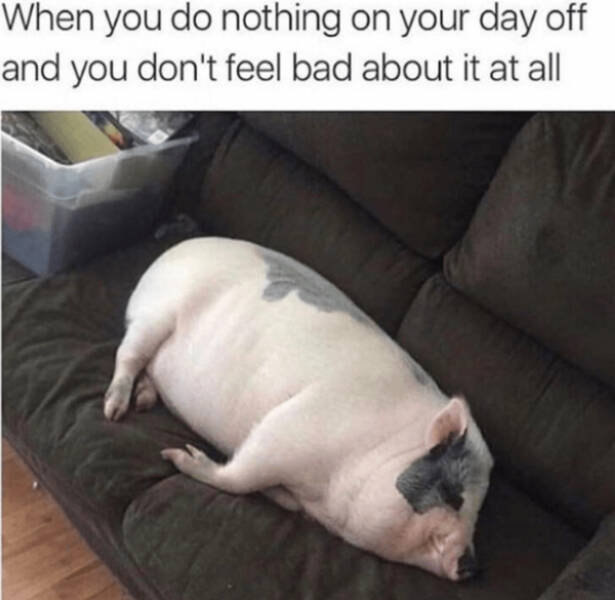 Wholesome Happiness? Yes Please!