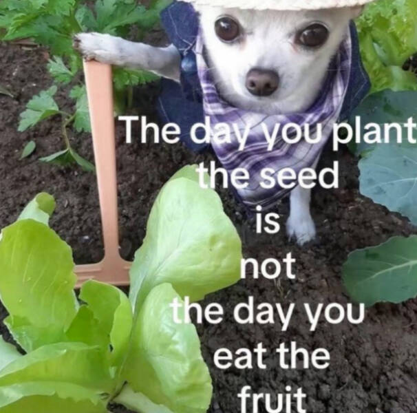 Wholesome Happiness? Yes Please!