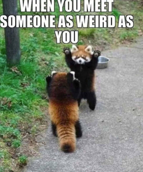 Wholesome Happiness? Yes Please!