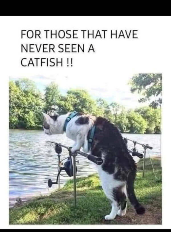 Wholesome Happiness? Yes Please!