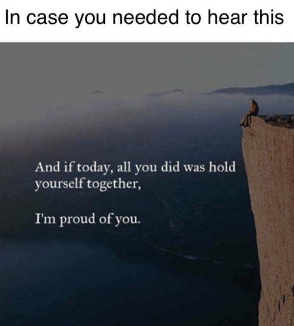 Wholesome Happiness? Yes Please!