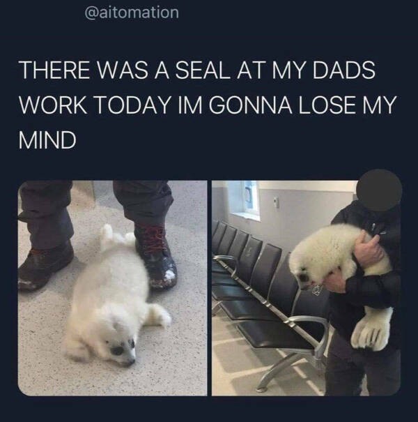 Wholesome Happiness? Yes Please!