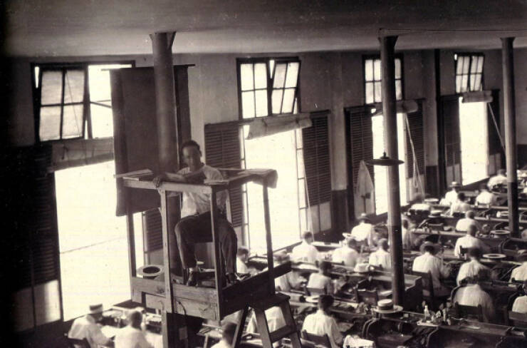 Curiously Cool Pictures