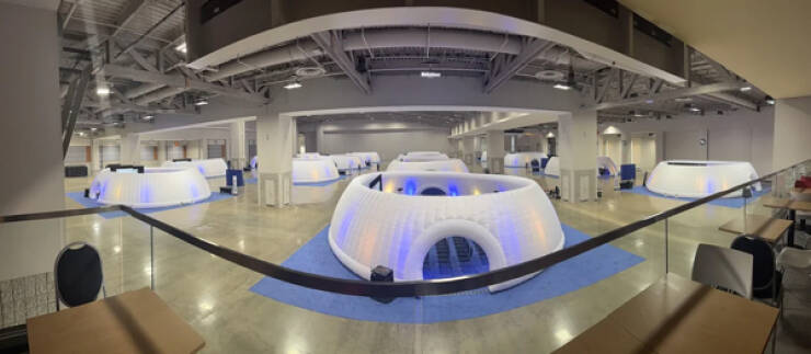 Curiously Cool Pictures