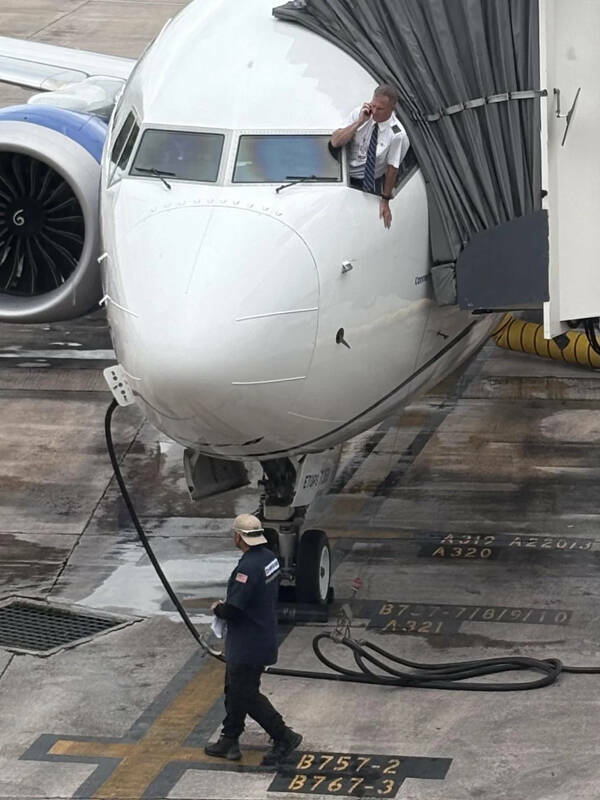 Curiously Cool Pictures