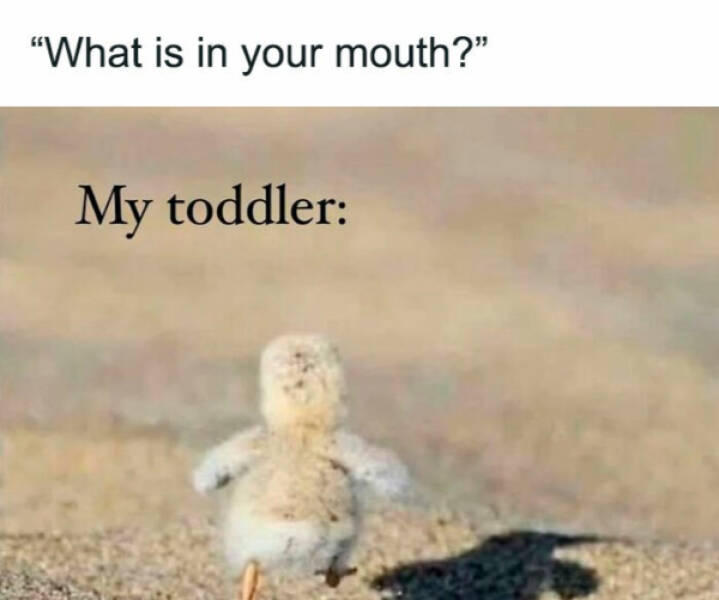 Parenting Memes Every Mom and Dad Will Feel Parenting Memes Every Mom and Dad Will Feel