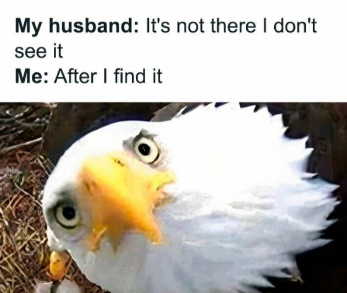 Parenting Memes Every Mom and Dad Will Feel Parenting Memes Every Mom and Dad Will Feel