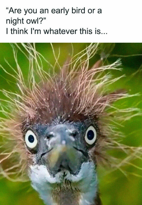 Parenting Memes Every Mom and Dad Will Feel Parenting Memes Every Mom and Dad Will Feel