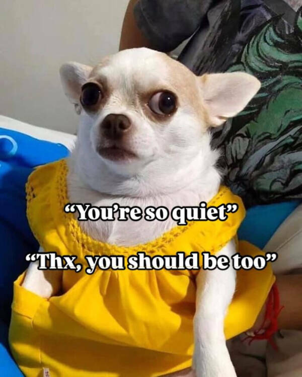 Parenting Memes Every Mom and Dad Will Feel Parenting Memes Every Mom and Dad Will Feel