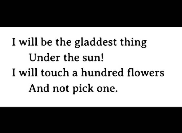 A Dose of Positivity to Brighten Your Day A Dose of Positivity to Brighten Your Day