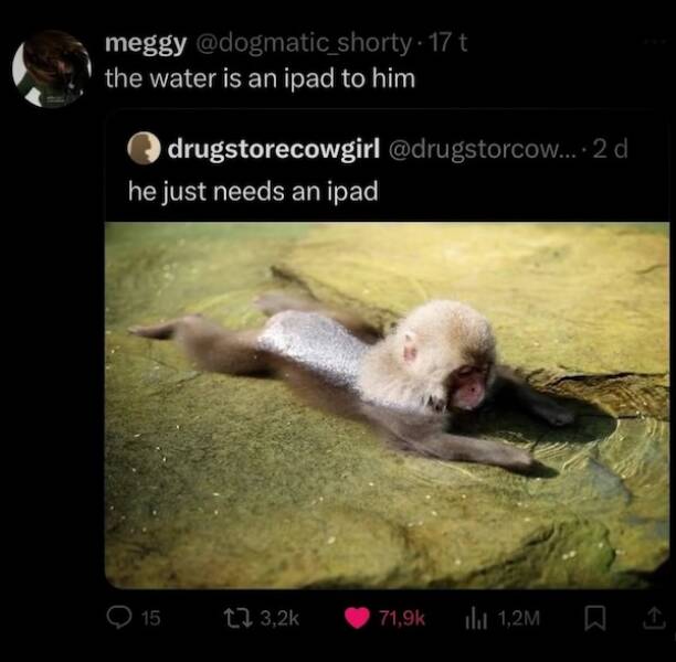 A Dose of Positivity to Brighten Your Day A Dose of Positivity to Brighten Your Day