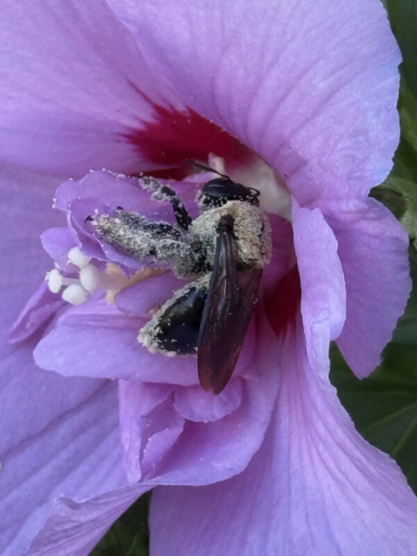 Awesome Shots Worth Sharing