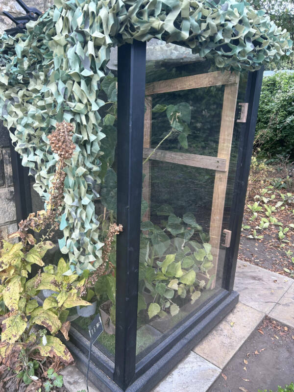 Awesome Shots Worth Sharing