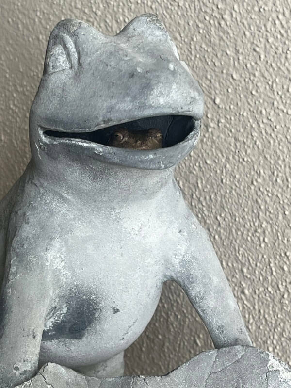 Awesome Shots Worth Sharing