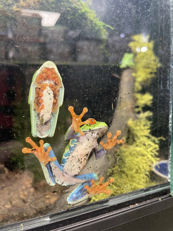 Awesome Shots Worth Sharing