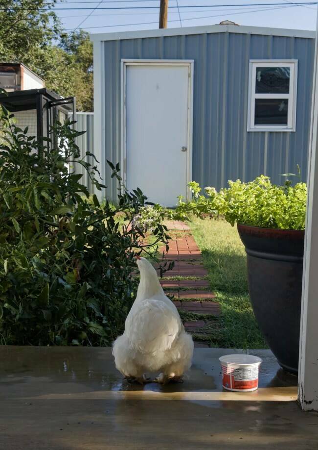 Modern Moments, Renaissance Vibes