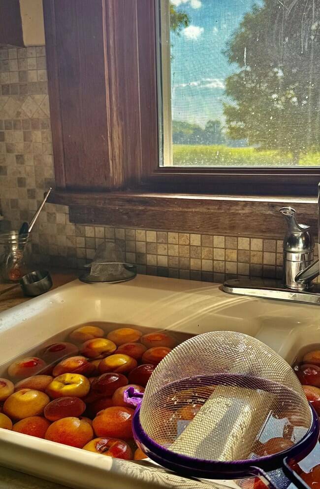 Modern Moments, Renaissance Vibes