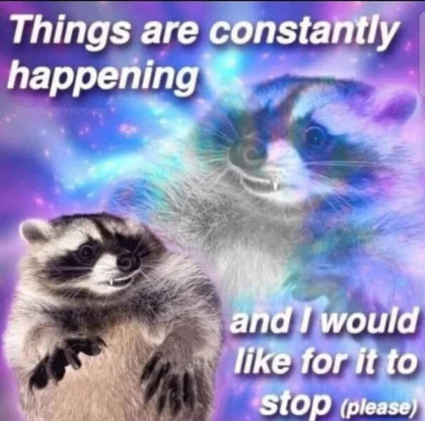 Totally Random Meme Dump Totally Random Meme Dump