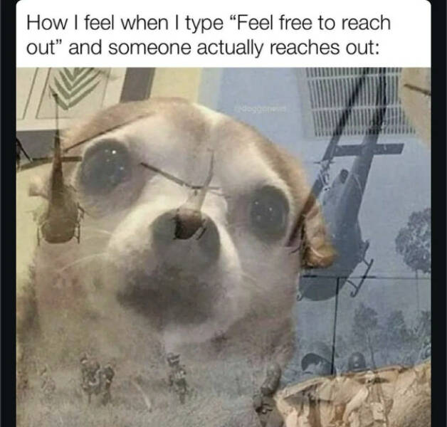 Totally Random Meme Dump Totally Random Meme Dump