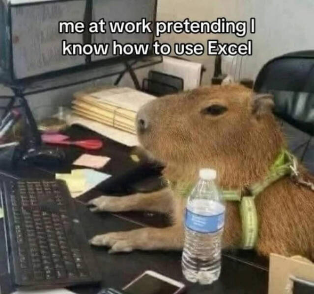 Totally Random Meme Dump