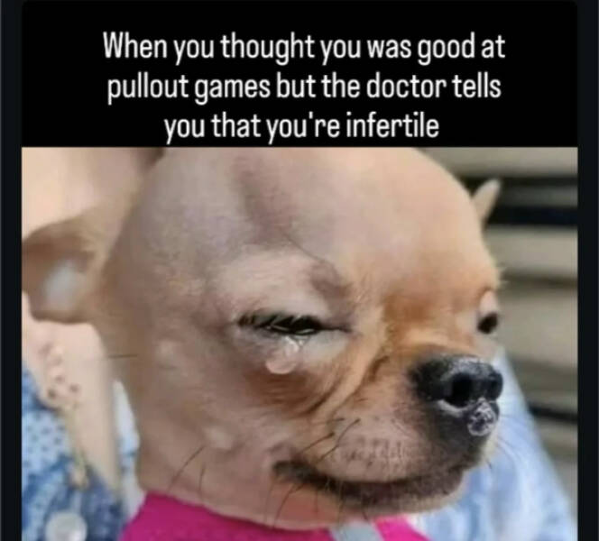 Totally Random Meme Dump Totally Random Meme Dump