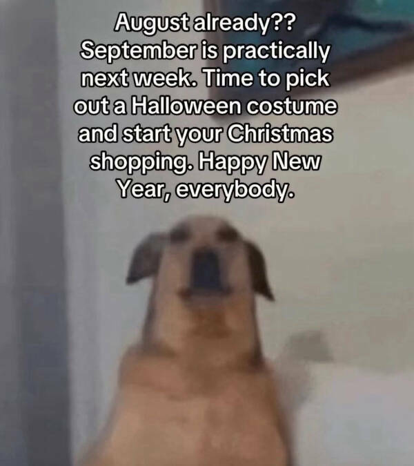 Totally Random Meme Dump Totally Random Meme Dump