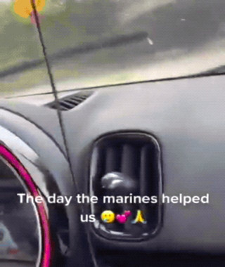 Daily Gifdump Daily Gifdump