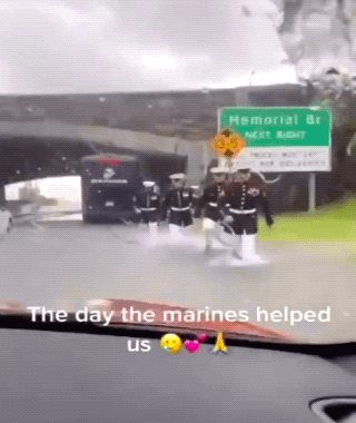 Daily Gifdump Daily Gifdump