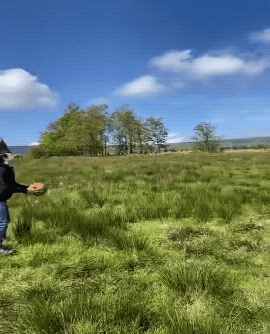 Daily Gifdump Daily Gifdump