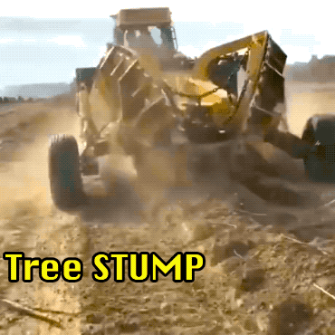 Daily Gifdump Daily Gifdump