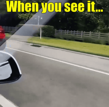 Daily Gifdump Daily Gifdump