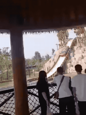 Daily Gifdump Daily Gifdump