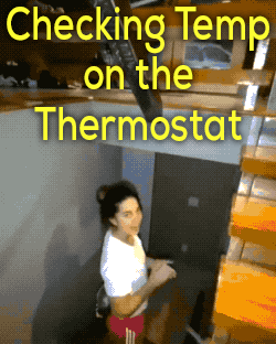 Daily Gifdump Daily Gifdump