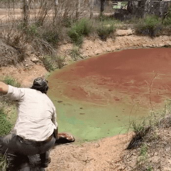 Daily Gifdump Daily Gifdump