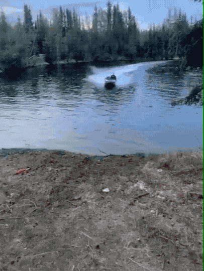 Daily Gifdump Daily Gifdump