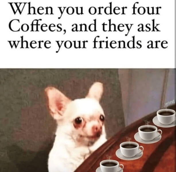 Brewing Up Laughs with Dogs and Coffee