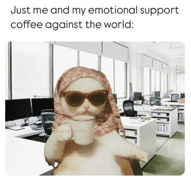 Brewing Up Laughs with Dogs and Coffee