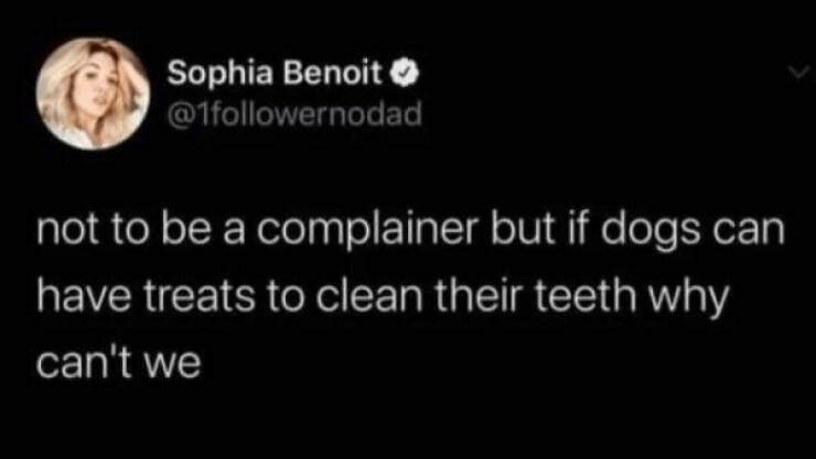 Brewing Up Laughs with Dogs and Coffee