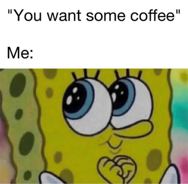 Brewing Up Laughs with Dogs and Coffee