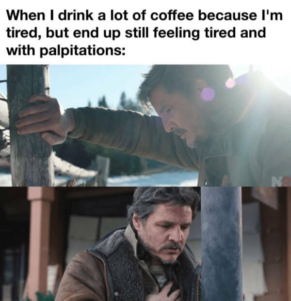 Brewing Up Laughs with Dogs and Coffee